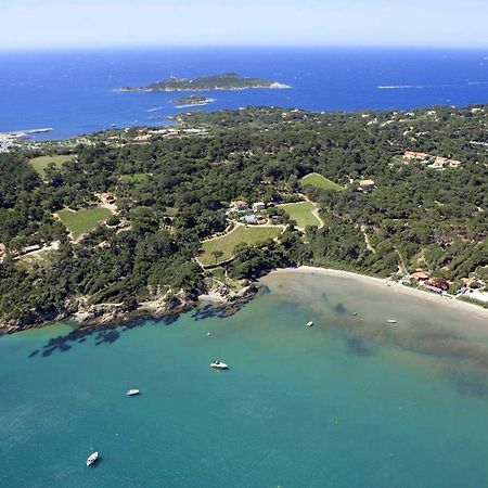 Superbe Appartement 50M De La Plage En Bord De Mer Hyères Eksteriør billede