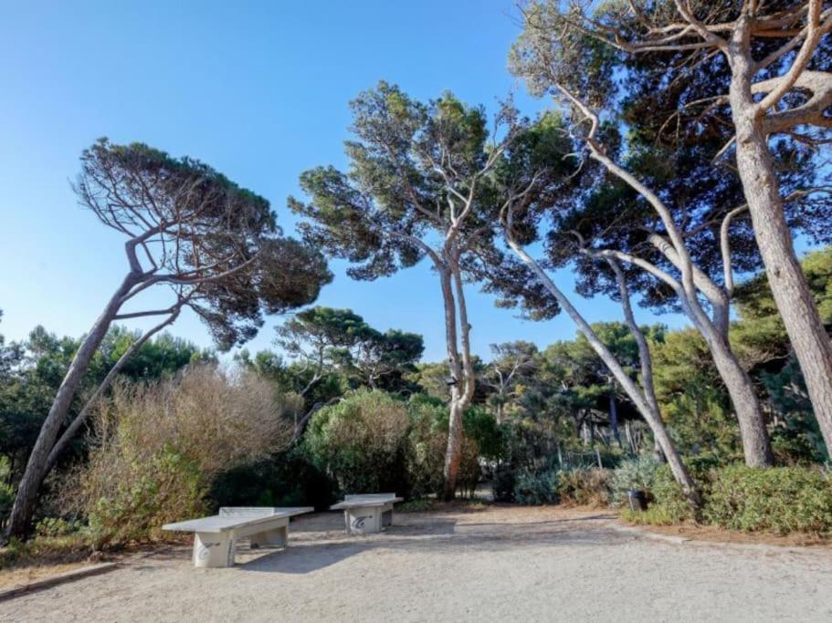 Superbe Appartement 50M De La Plage En Bord De Mer Hyères Eksteriør billede